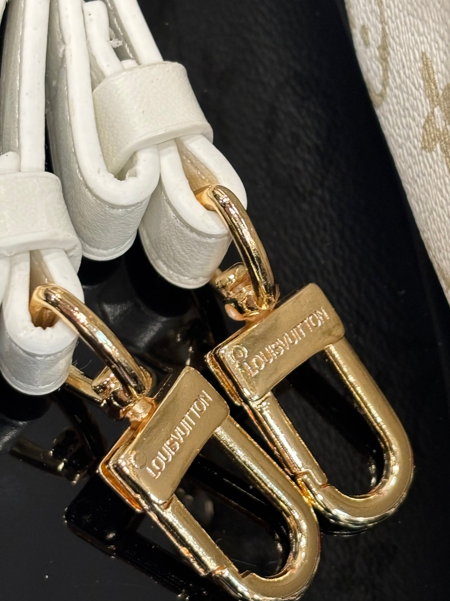 Louis Vuitton Loop Pm Autruche