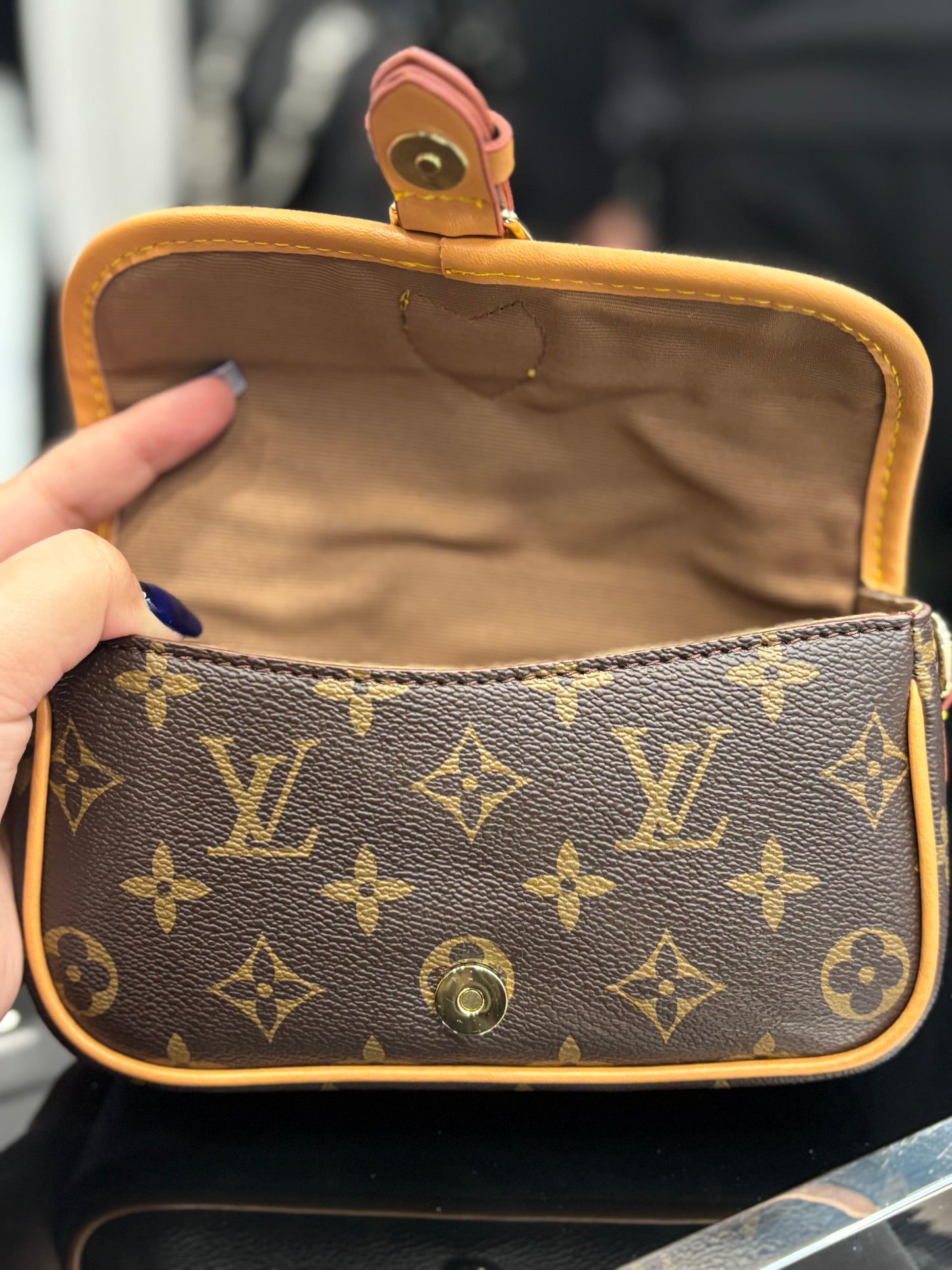 Louis Vuitton Nano Diane Monogram