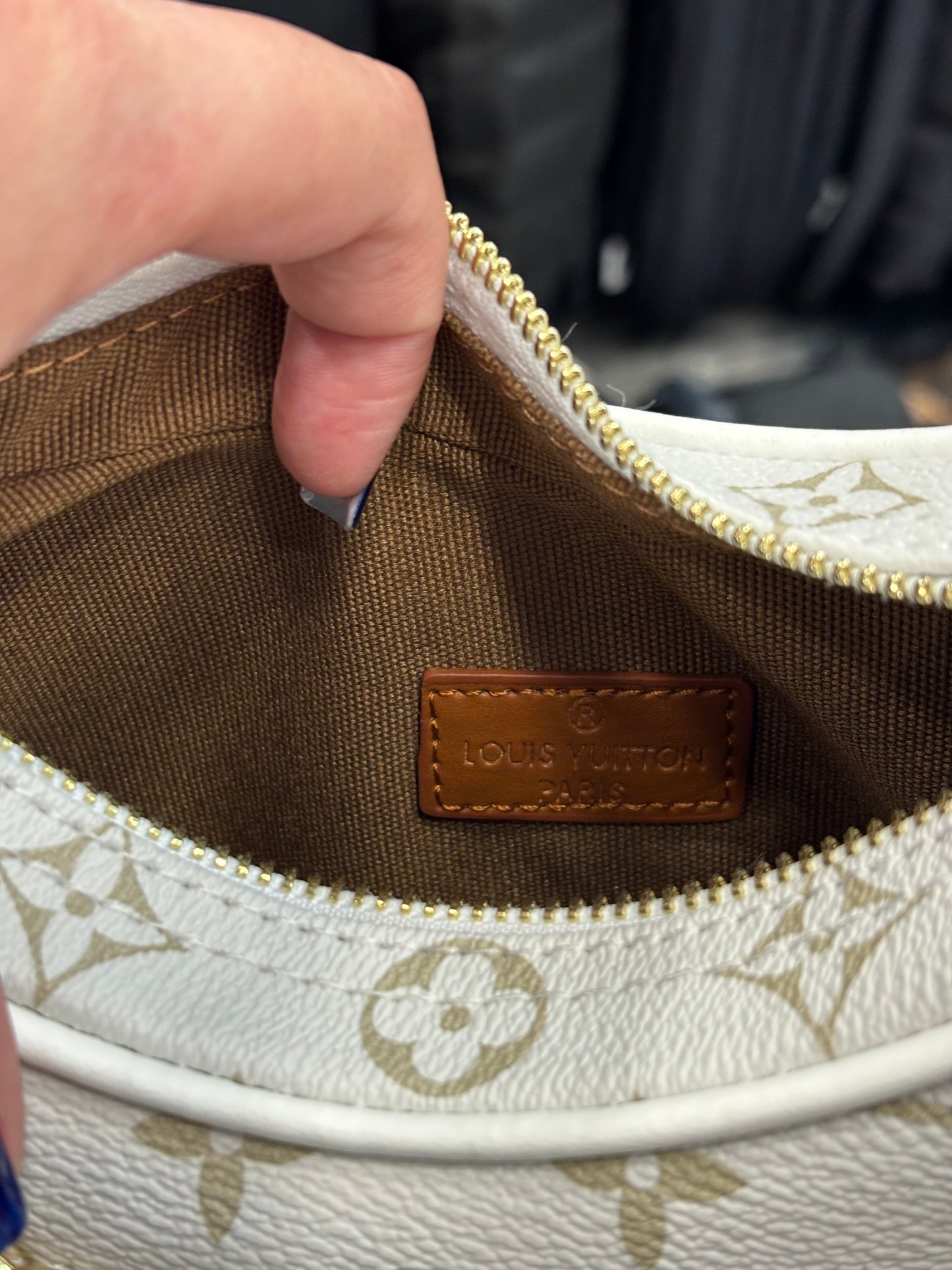 Louis Vuitton Loop Pm Autruche