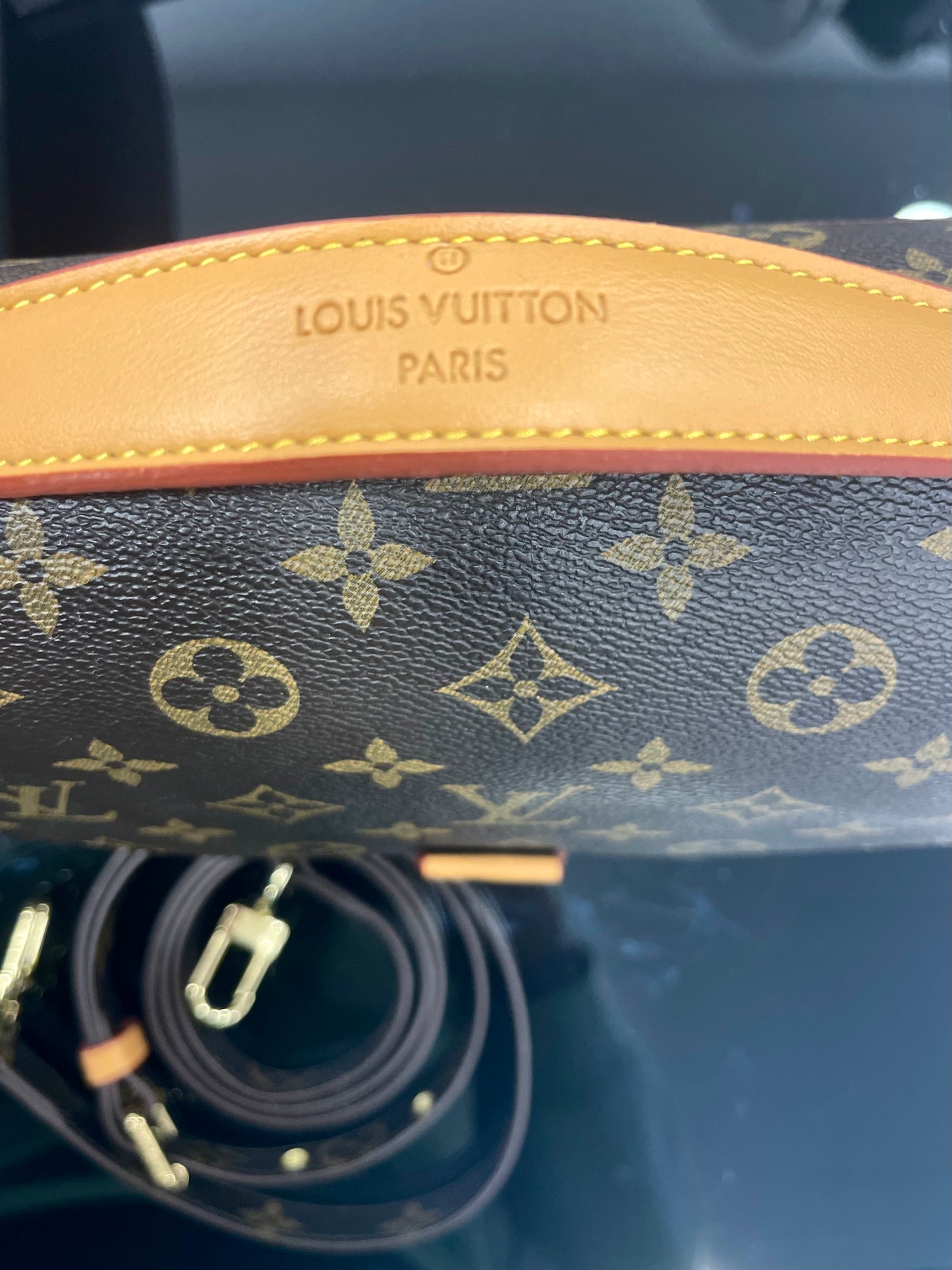 Metis Louis Vuitton