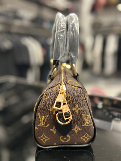 Louis Vuitton Speedy Monogram
