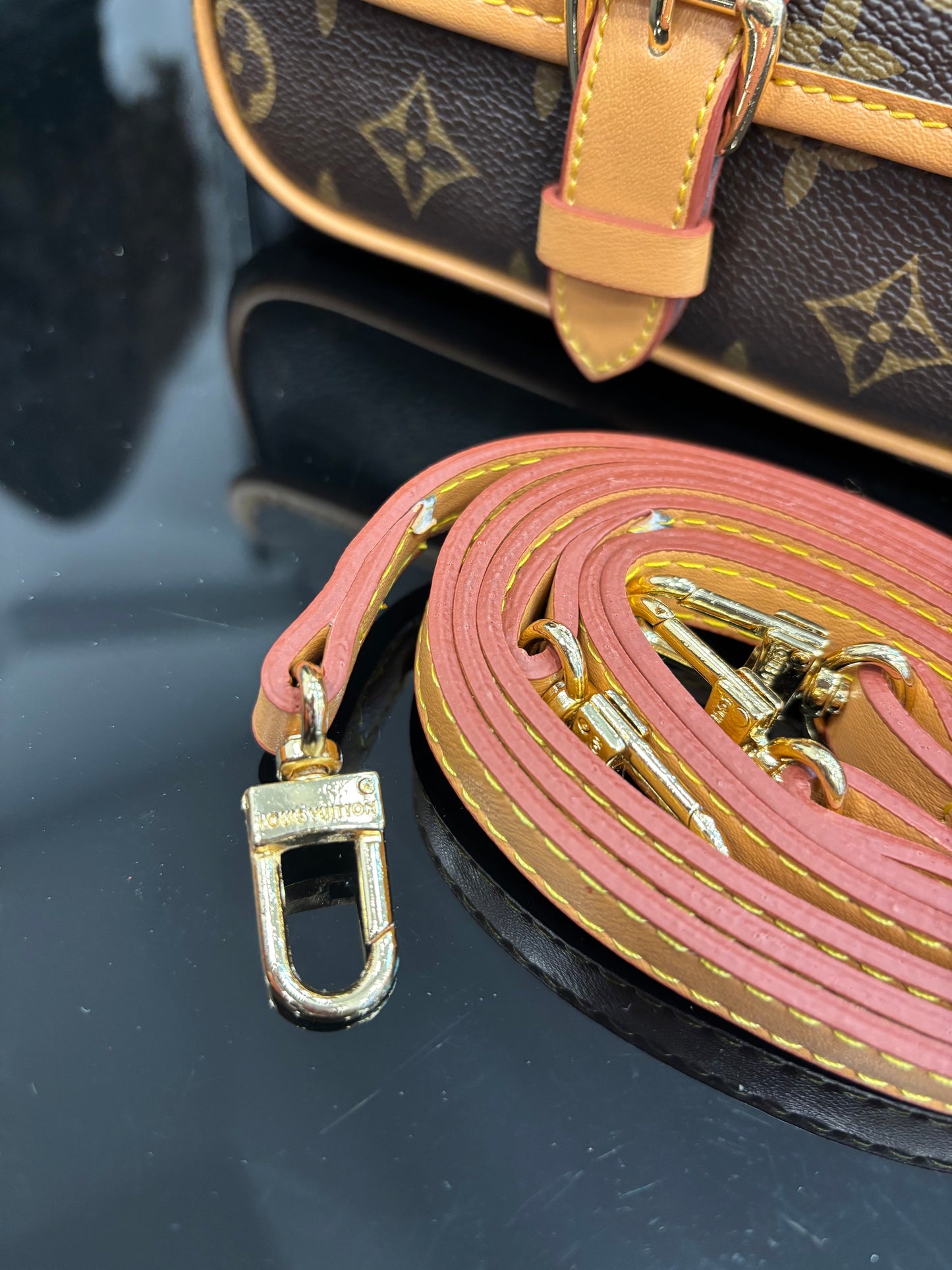 Louis Vuitton Nano Diane Monogram