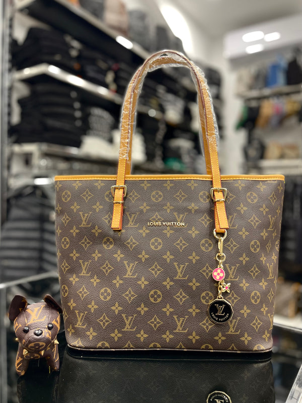 Louis Vuitton classic Bag