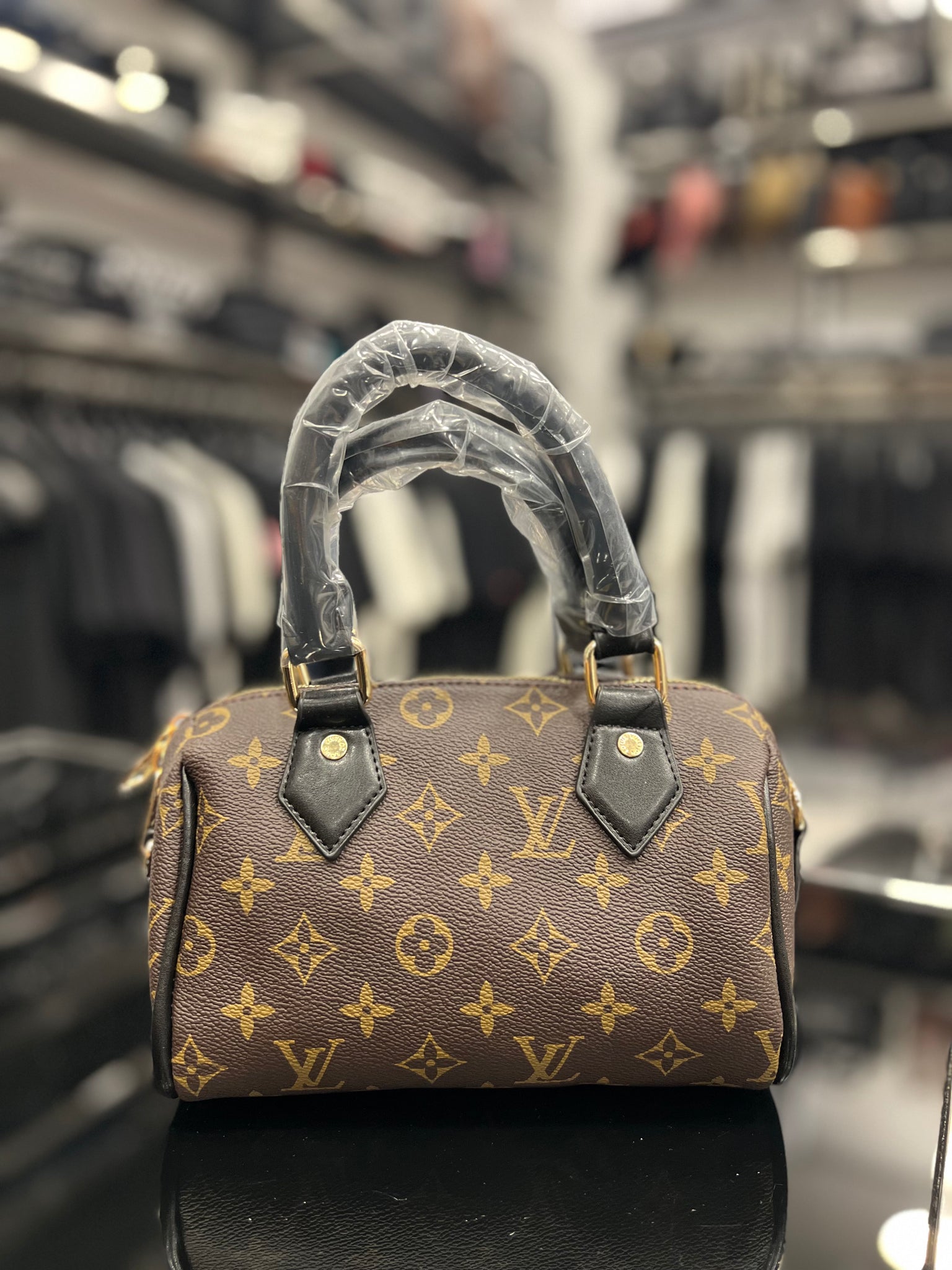 Louis Vuitton Speedy Monogram